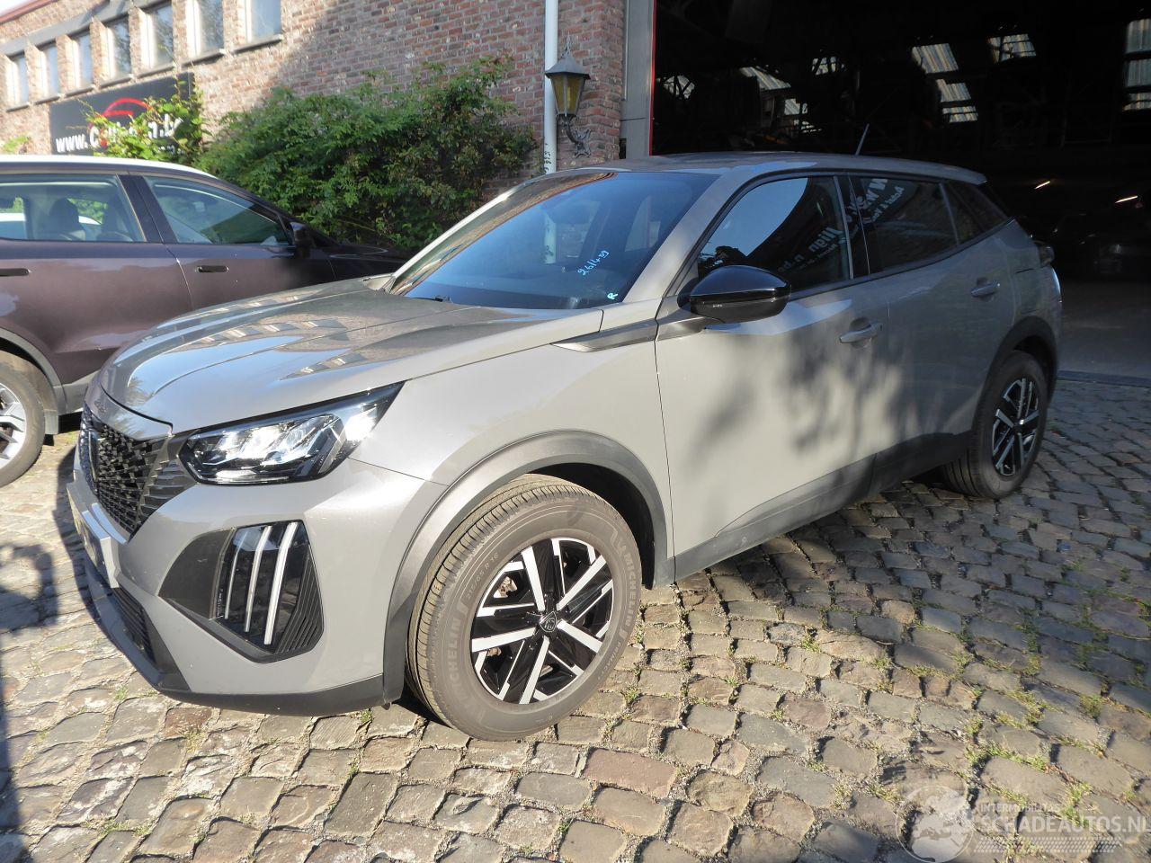 Peugeot 2008 Hybrid Active