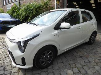 damaged passenger cars Kia Picanto  2025/2