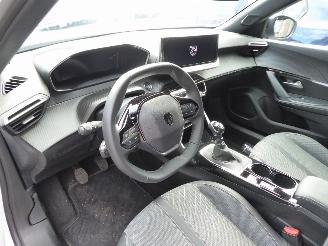 Peugeot 2008 Allure picture 12
