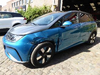 Coche accidentado BYD Dolphin  2024/9