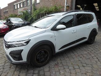 skadebil motor Dacia Jogger Expression 2024/10