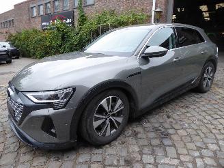 Vaurioauto  passenger cars Audi Q8 e-tron 50 quattro advanced 2024/8