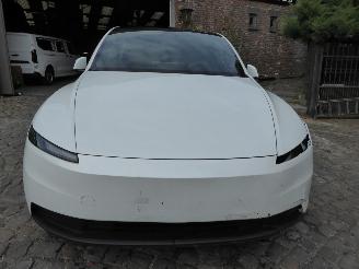 Tesla Model Y RWD picture 3