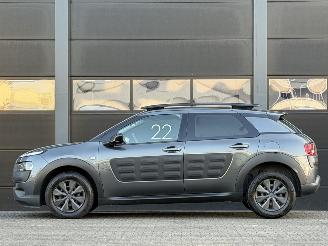 Citroën C4 cactus 1.6 BlueHDi Panorama Camera EURO-6 picture 6