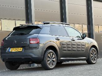 Citroën C4 cactus 1.6 BlueHDi Panorama Camera EURO-6 picture 4