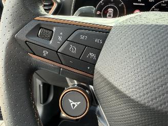 Cupra Formentor 1.4 e-Hybrid VZ Performance Mat Blauw picture 10