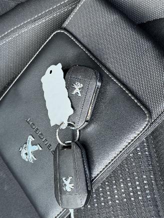Peugeot 308 1.6 BlueHDi Navi Clima EURO-6 picture 11