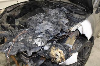 Porsche Cayenne  picture 14