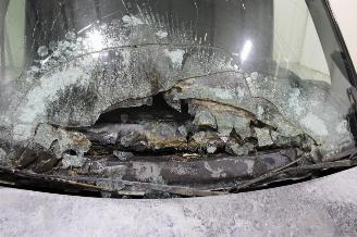 Renault Master  picture 17