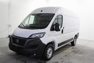 Coche siniestrado Fiat Ducato  