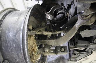 BMW X7  picture 16