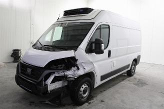škoda osobní automobily Fiat Ducato  2024/4