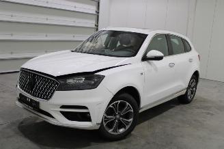 Coche siniestrado Borgward BX7 TS 2021/8