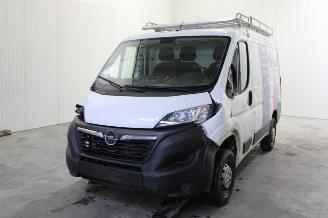 Schadeauto Opel Movano  2023/2