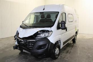 Schadeauto Opel Movano  2023/6