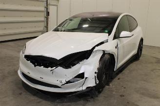 Schadeauto Tesla Model X  2023/12