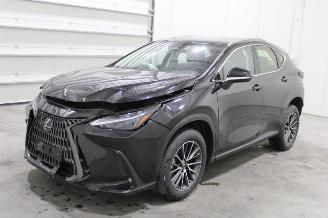 Schadeauto Lexus NX 350 2024/6