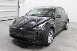 Vaurioauto  passenger cars Tesla Model Y  2024/8