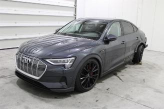 škoda osobní automobily Audi E-tron  2022/1