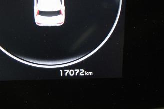 Kia Niro  picture 12