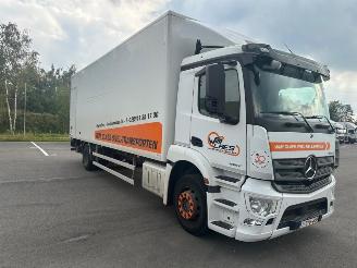 Mercedes Antos  picture 2