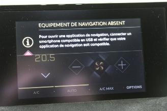 DS Automobiles DS 3 Crossback DS3 Crossback picture 13