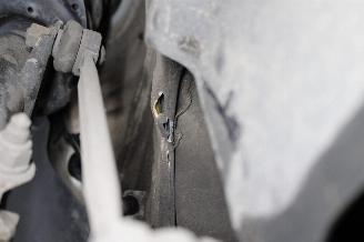 Volkswagen Polo  picture 17