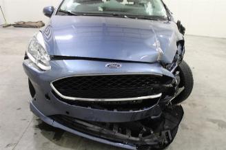 Ford Fiesta  picture 6
