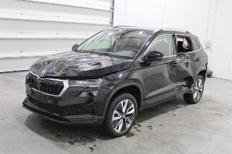  Skoda Karoq  2024/7