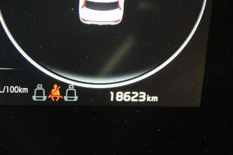 Kia Niro  picture 12