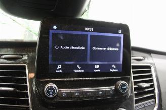 Ford Transit  picture 13