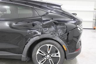 Ford Mustang Mach-e  picture 5