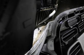 Citroën C4 cactus  picture 22