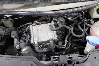 Volkswagen Transporter T6 picture 14