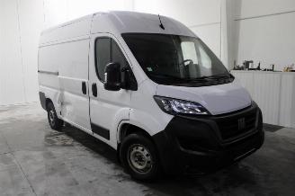 Fiat Ducato  picture 2