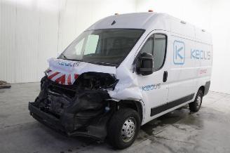 skadebil auto Opel Movano  2024/3