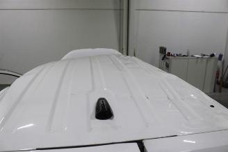 Volkswagen Caddy  picture 24