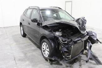 Skoda Kamiq  picture 2