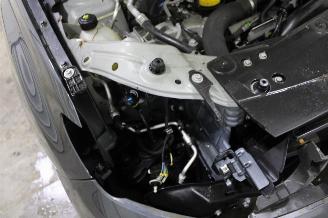 Dacia Duster  picture 19