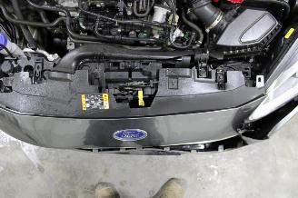 Ford Fiesta  picture 17