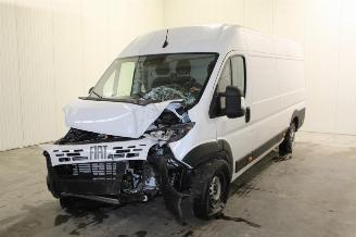 Unfallwagen Fiat Ducato  2025/10