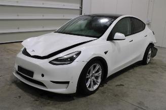 Tesla Model Y  picture 1