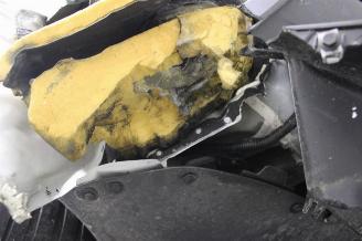 Tesla Model Y  picture 19