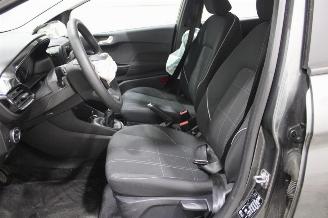 Ford Fiesta  picture 10