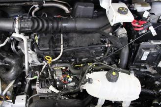 Nissan Primastar  picture 14