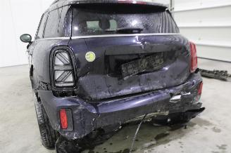 Mini Cooper _COUNTRYMAN picture 13