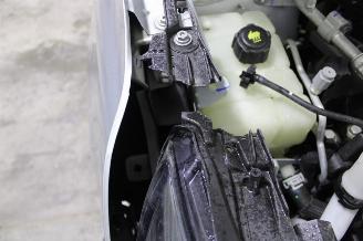 Renault Kangoo  picture 20