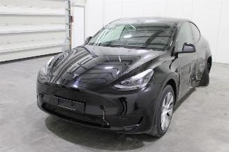 Schadeauto Tesla Model Y  2024/12
