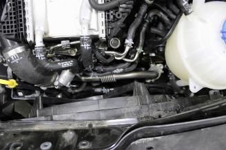 Volkswagen Transporter T6 picture 13