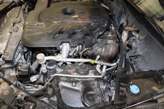 Alfa Romeo Giulia  picture 17